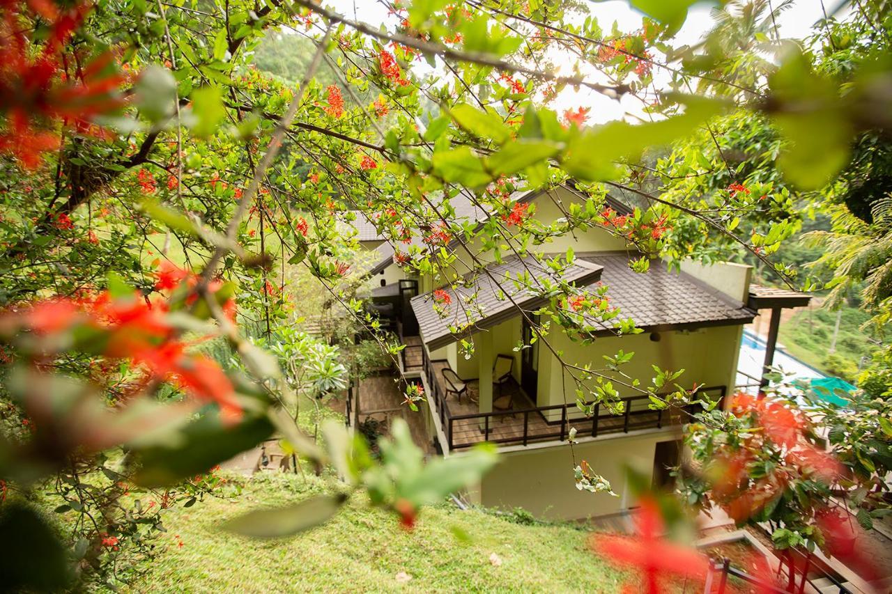Huluganga Ridge, Kandy Karalliyadda Bagian luar foto